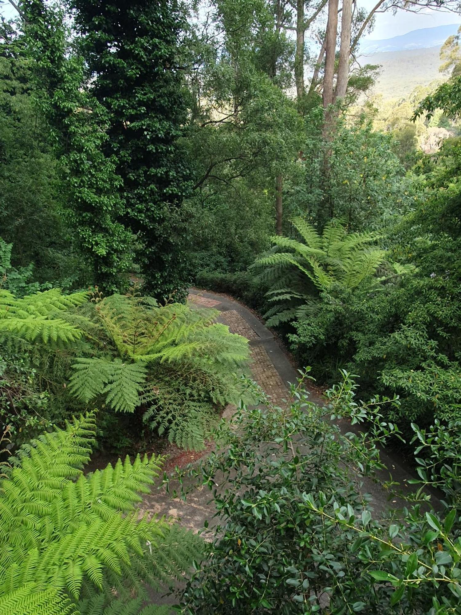 Risehill House Villa Kalorama Eksteriør billede